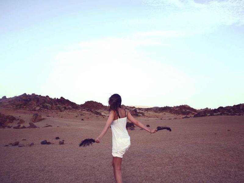 2025 онд аюулгүй байдлын судалгааны шинжлэх ухаануудын хуулиуд