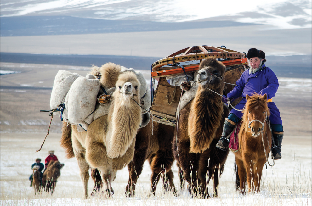 “Монгол нүүдлийн зан үйл” өв ЮНЕСКО-д бүртгэгдлээ