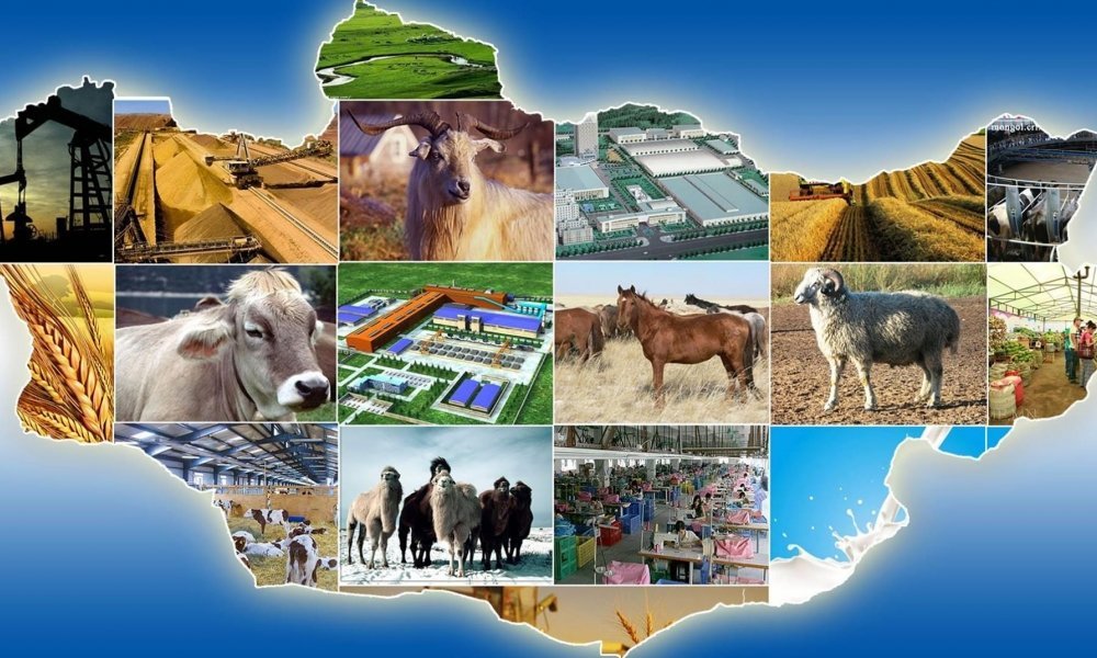 Хөдөө аж ахуйн салбар эдийн засгийн хамгийн өндөр үзүүлэлттэй байна