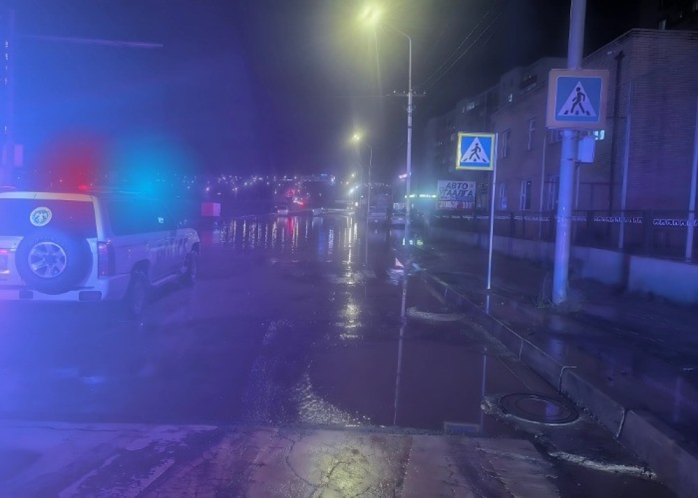 Тогтоол усанд цахилгааны утас унаж хүүхэдтэйгээ хамт тогонд цохиулжээ