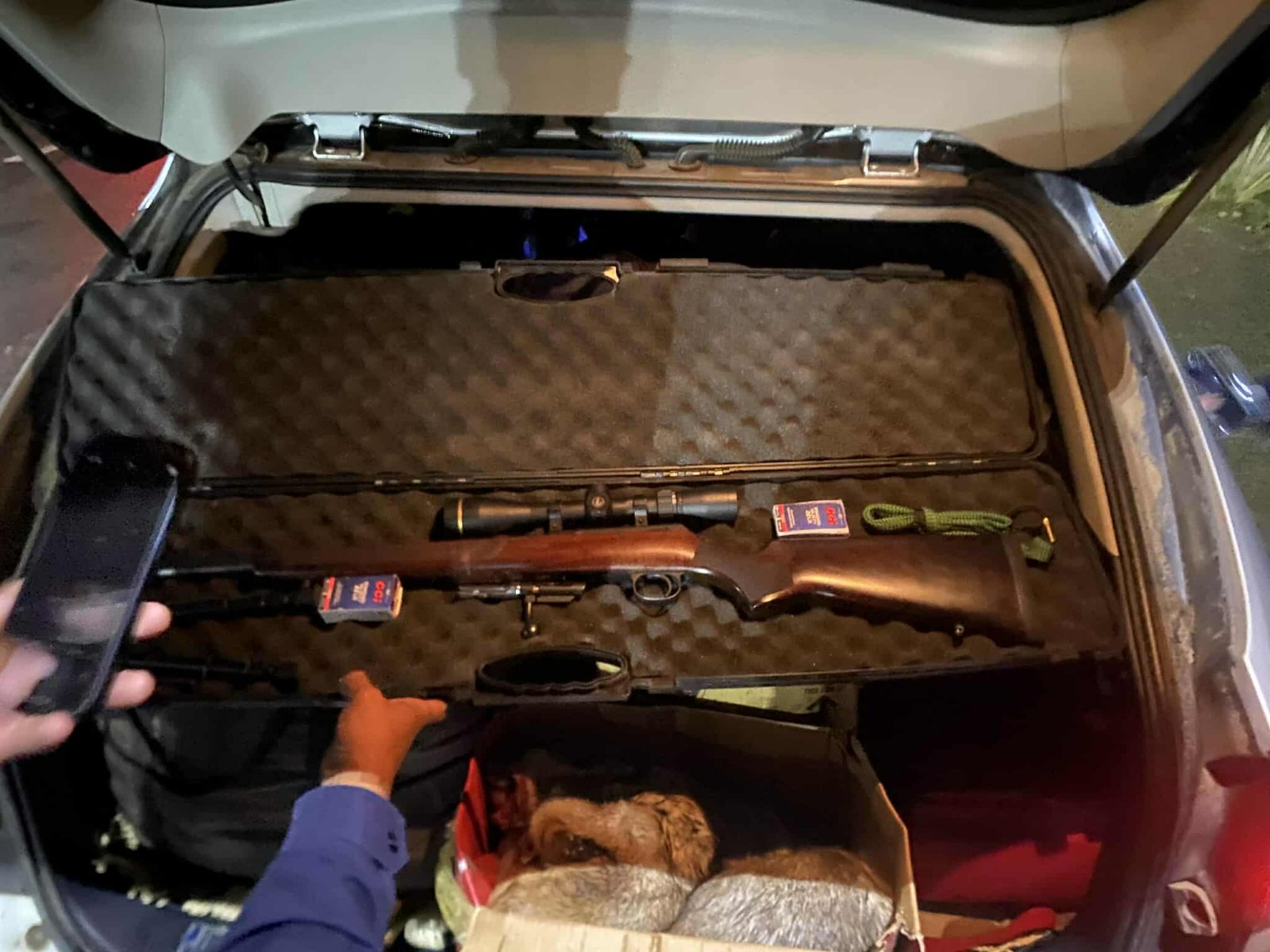 22 тарвага, түүхий эд авч явсныг илрүүлжээ