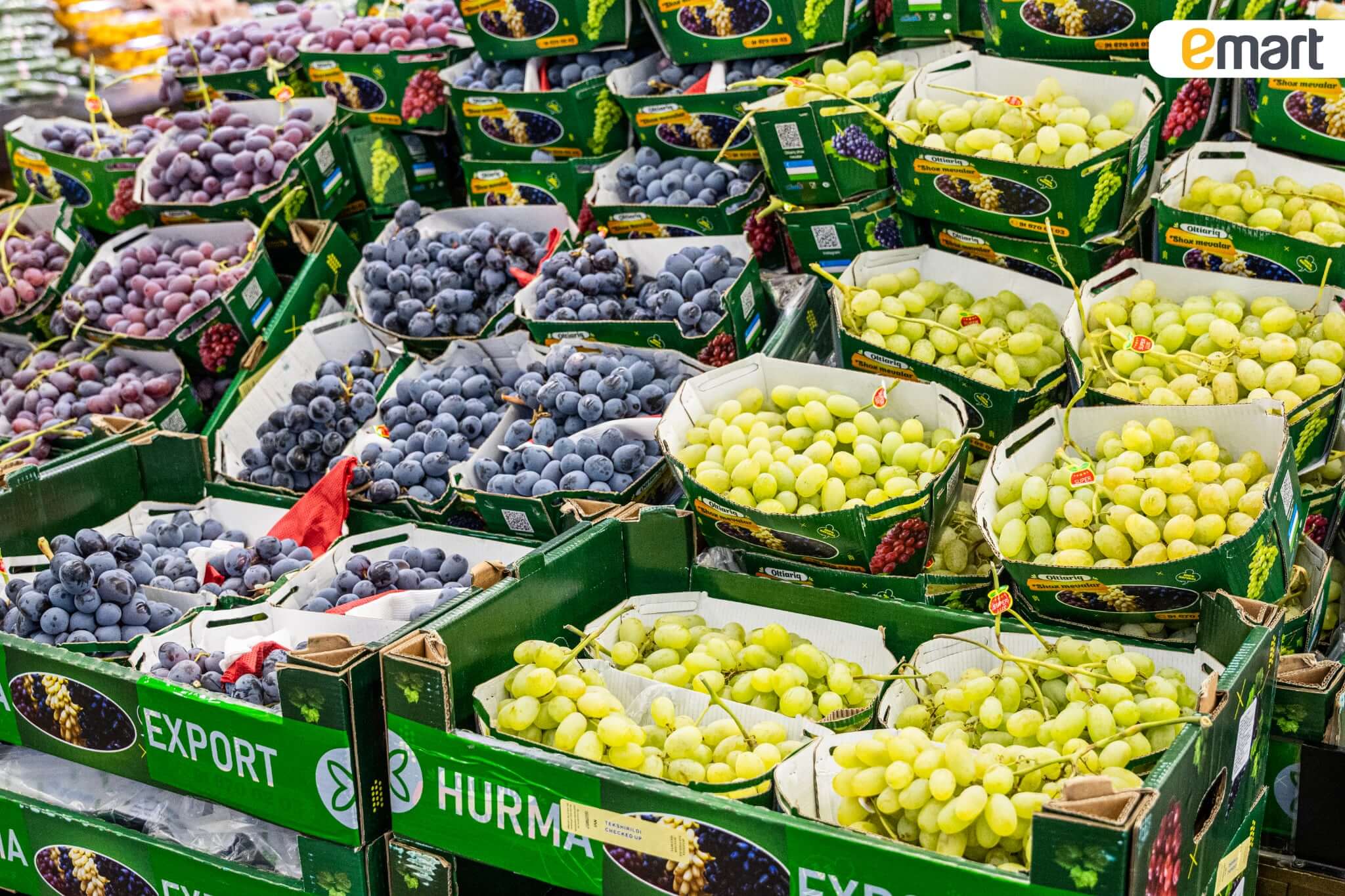 Узбек шинэ ургац Имартад буулаа