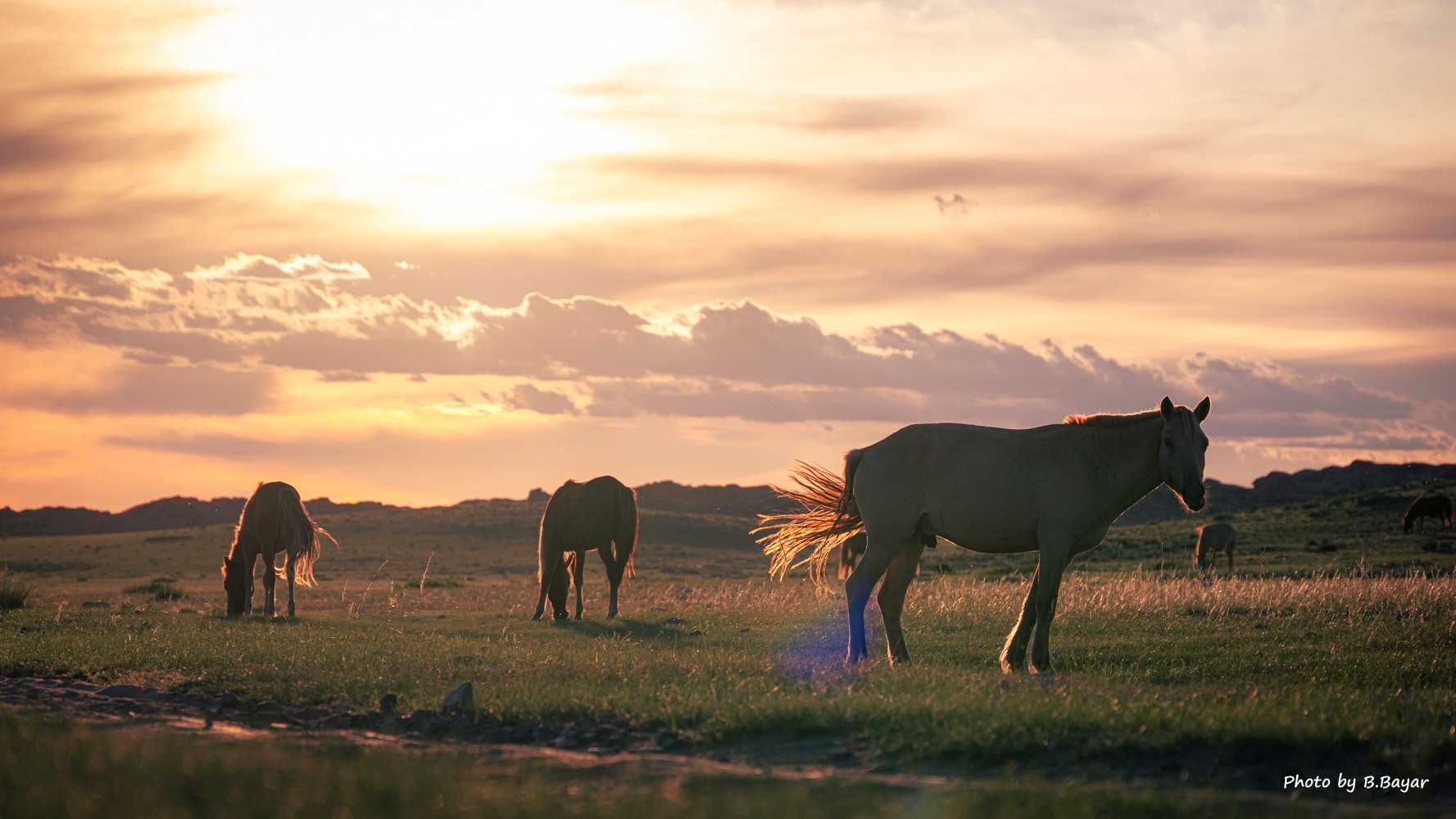 Ойрын хоногуудад ихэнх нутгаар сэрүүсэж, уулархаг нутгаар нойтон цас орно