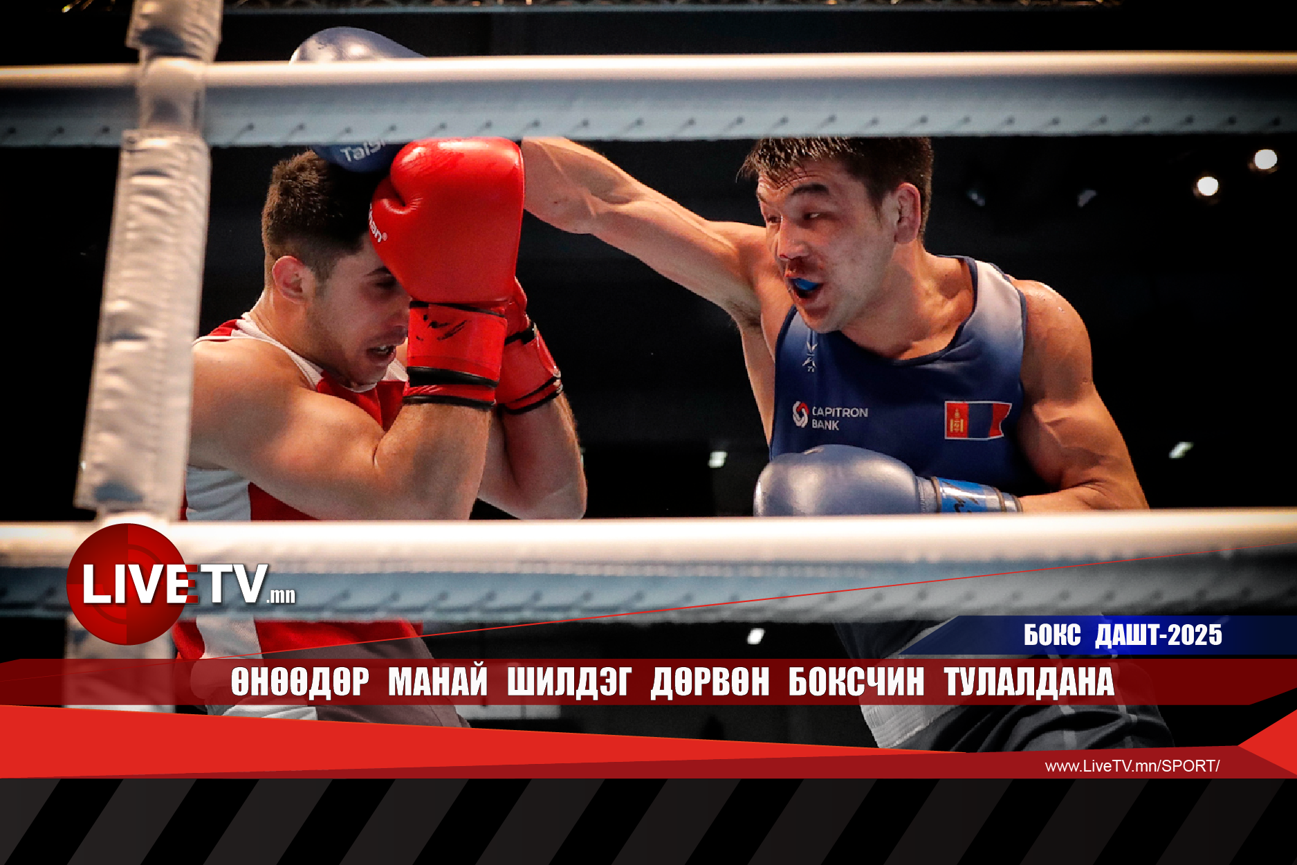 Өнөөдөр манай шилдэг дөрвөн боксчин тулалдана