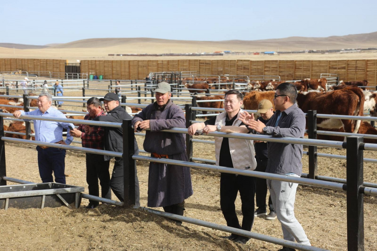 Архангай аймагт жишиг фермийг хөгжүүлж, малчин өрхүүдийг ажлын байраар хангаж буй “Мөнхтамир ти би эй эйф” ХХК