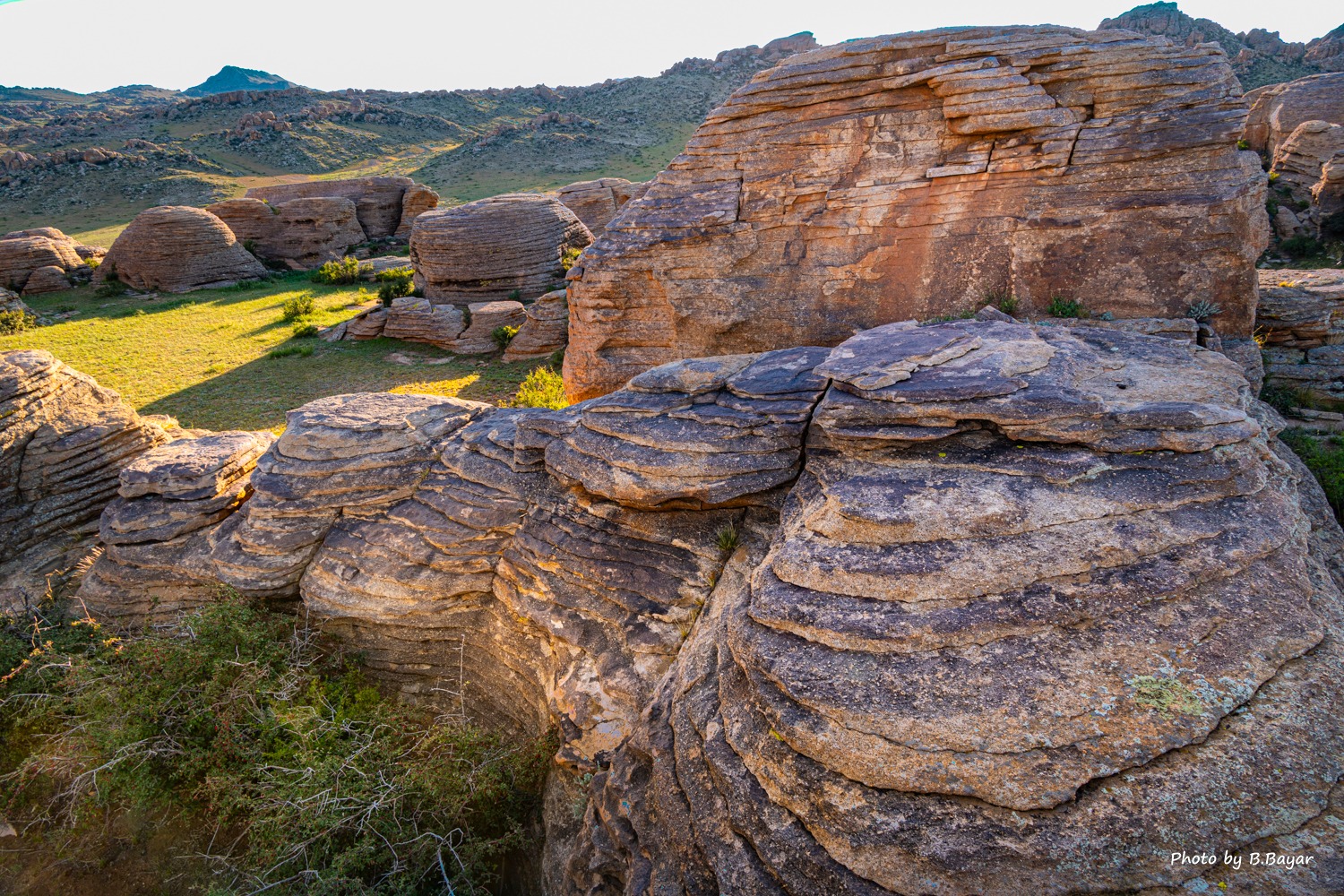 Монгол-Алтай, Хангай, Хөвсгөлийн уулархаг нутгаар нойтон цас орно