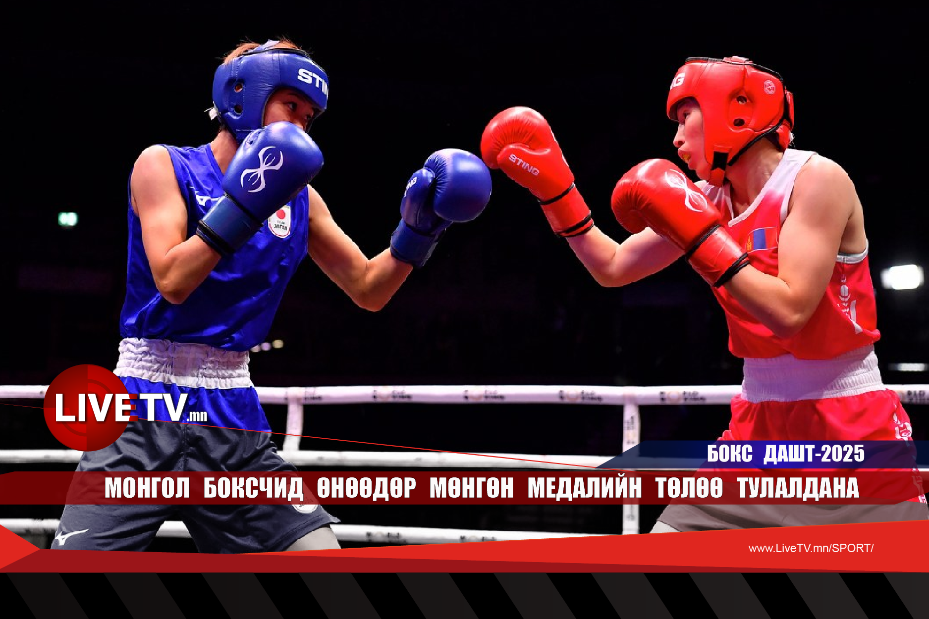 Монгол боксчид өнөөдөр мөнгөн медалийн төлөө тулалдана