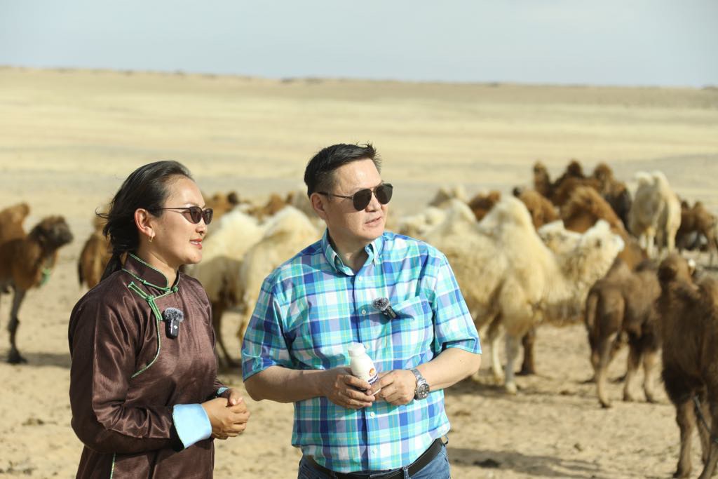 Ингэний сүүг боловсруулж тэмээн сүргийн ашиг шимийг хүртсэнээр малчдын орлогын эх үүсвэр нэмэгдэх боломжтой