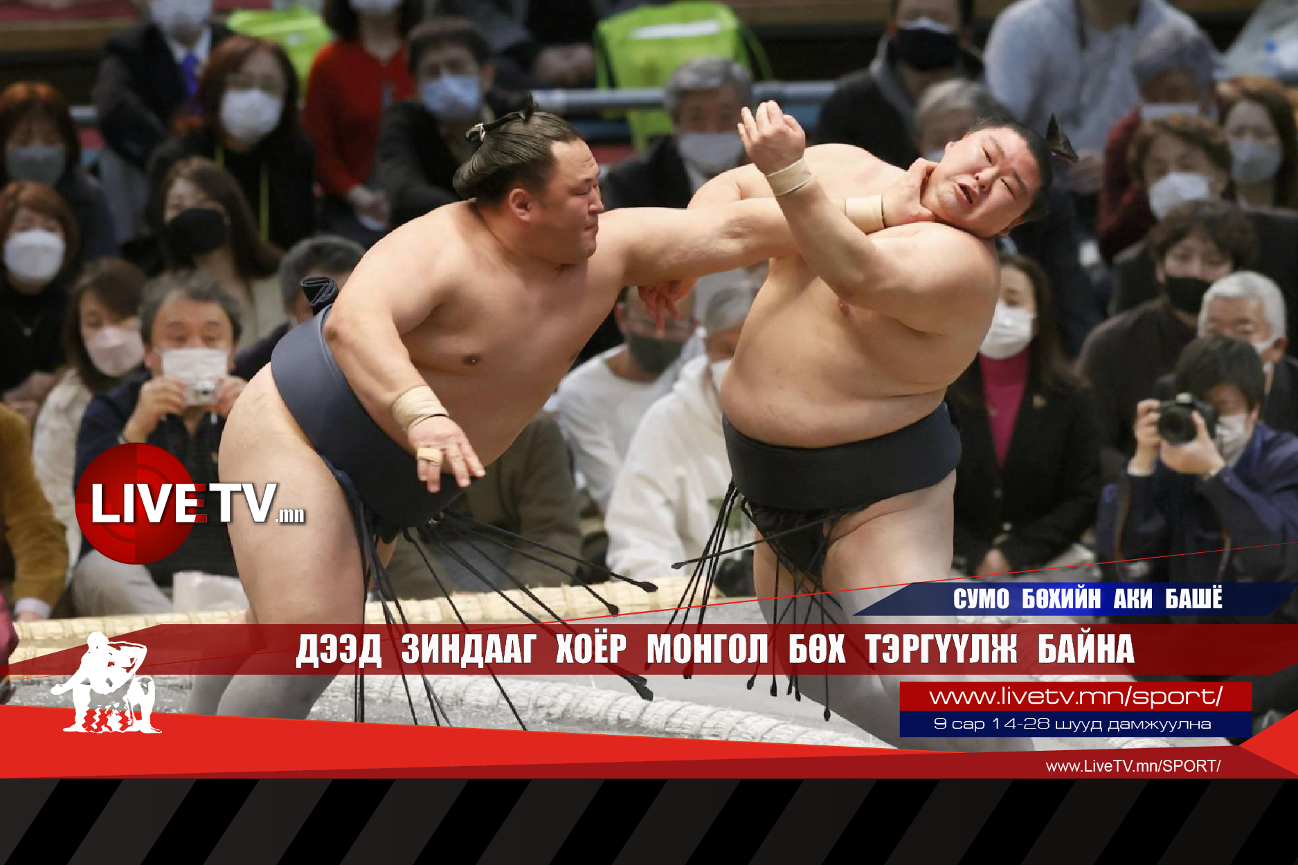 Дээд зиндааг хоёр монгол бөх тэргүүлж байна