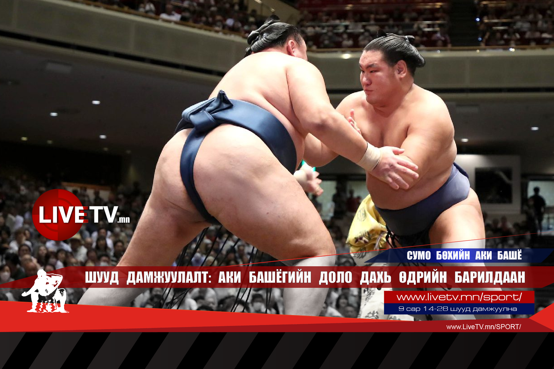 🔴 LIVE: Сумо бөхийн Аки башё /Долоо дахь өдөр/