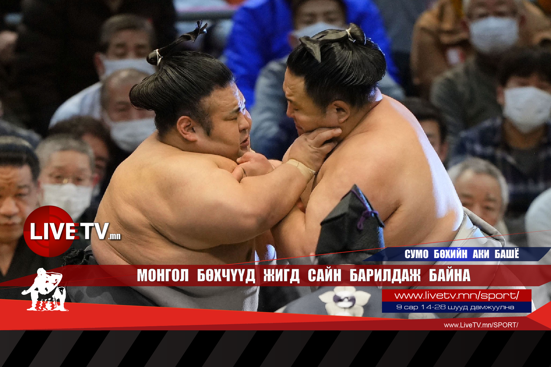 Монгол бөхчүүд жигд сайн барилдаж байна