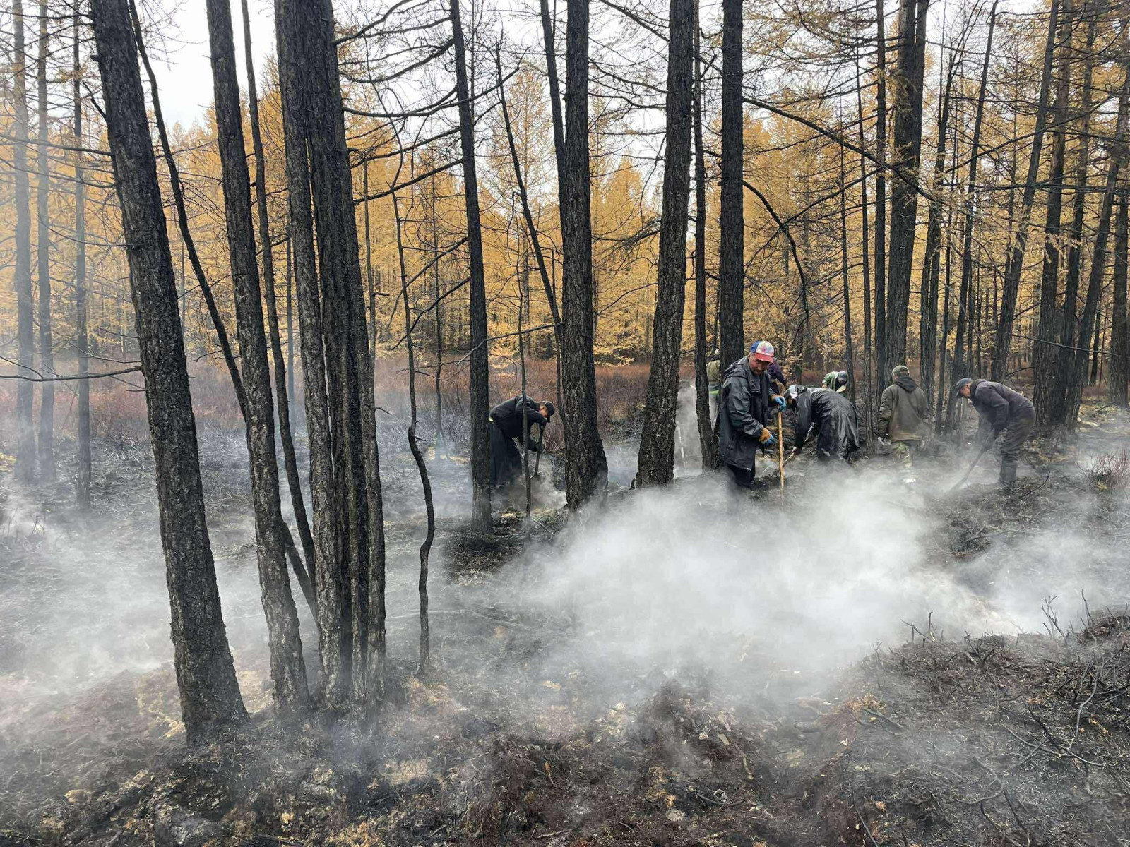 Хөвсгөлийн Цагааннуур суманд гарсан ойн түймрийг бүрэн унтраажээ