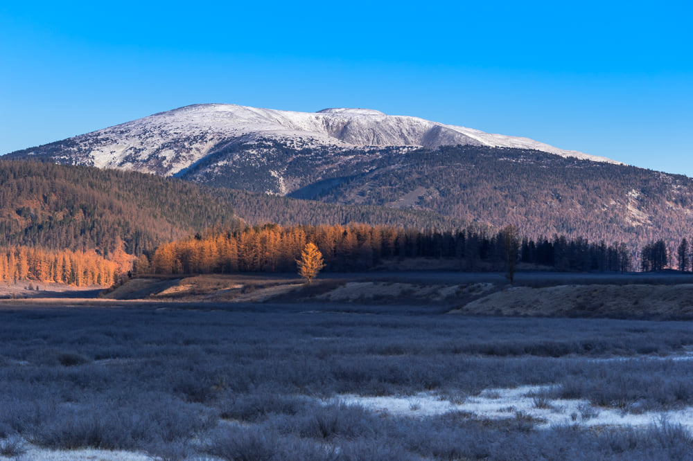 Өнөөдөр ихэнх нутгаар бага зэрэг дулаарна