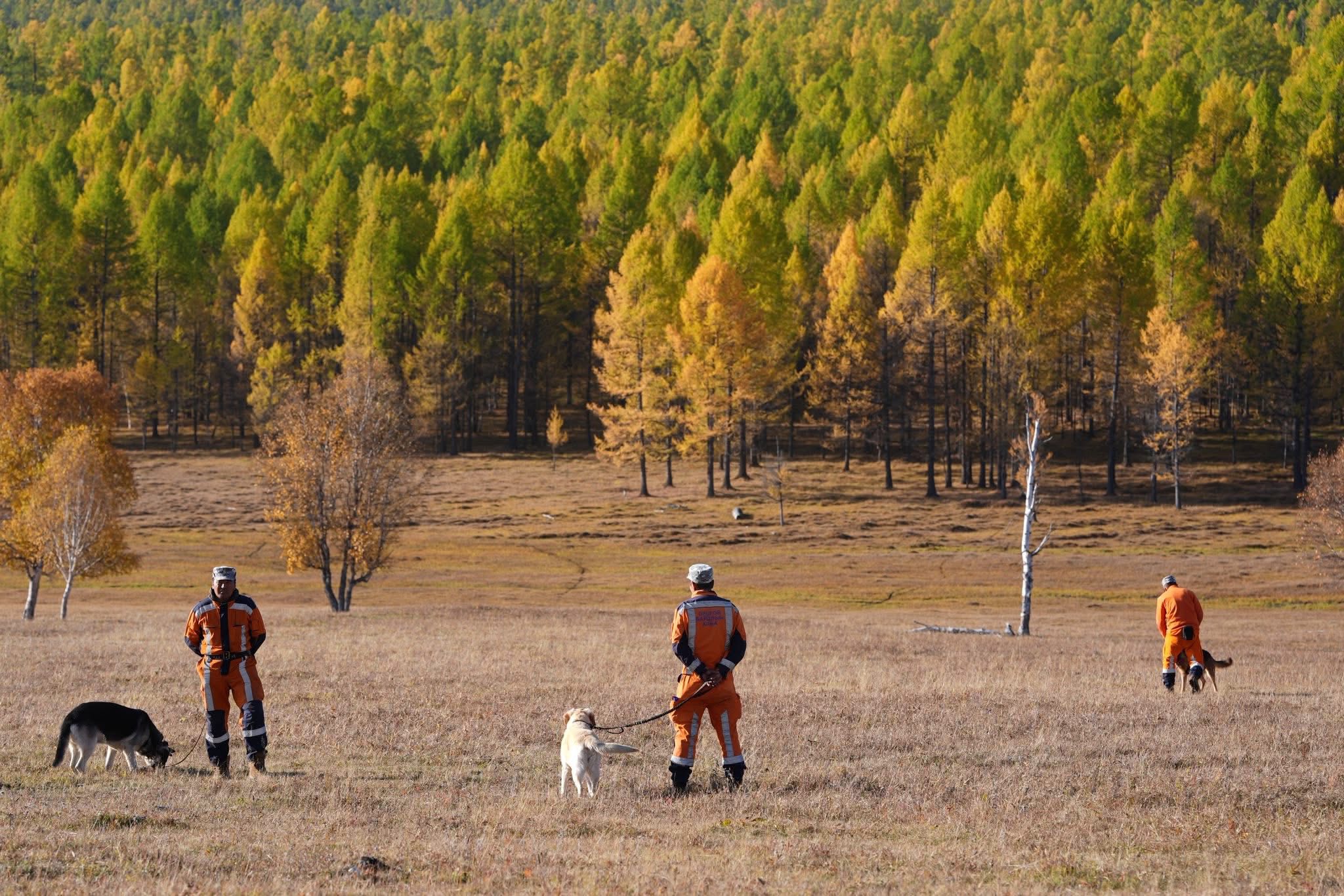Хөвсгөл аймагт алга болсон 46 настай эмэгтэйг эрэн хайж байна