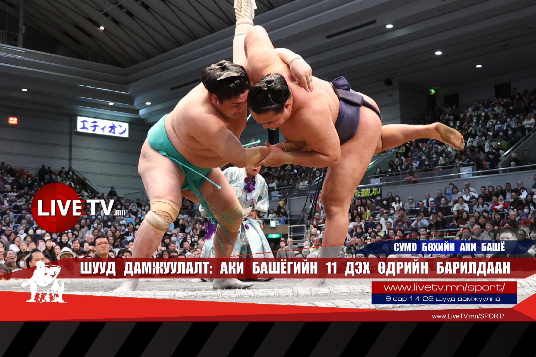 🔴 LIVE: Сумо бөхийн Аки башё /11 дэх өдөр/