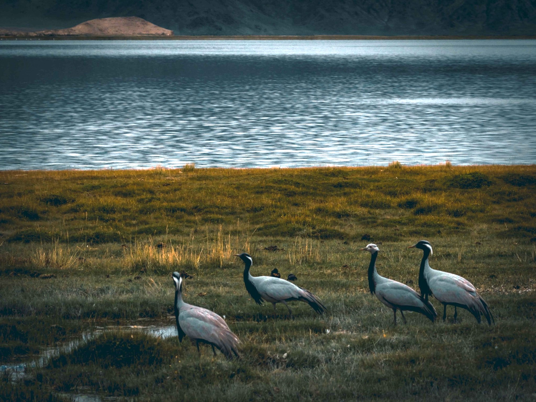 Ойрын тав хоногтоо ихэнх нутгаар цаг агаар тогтуун, өдөртөө дулаахан байна