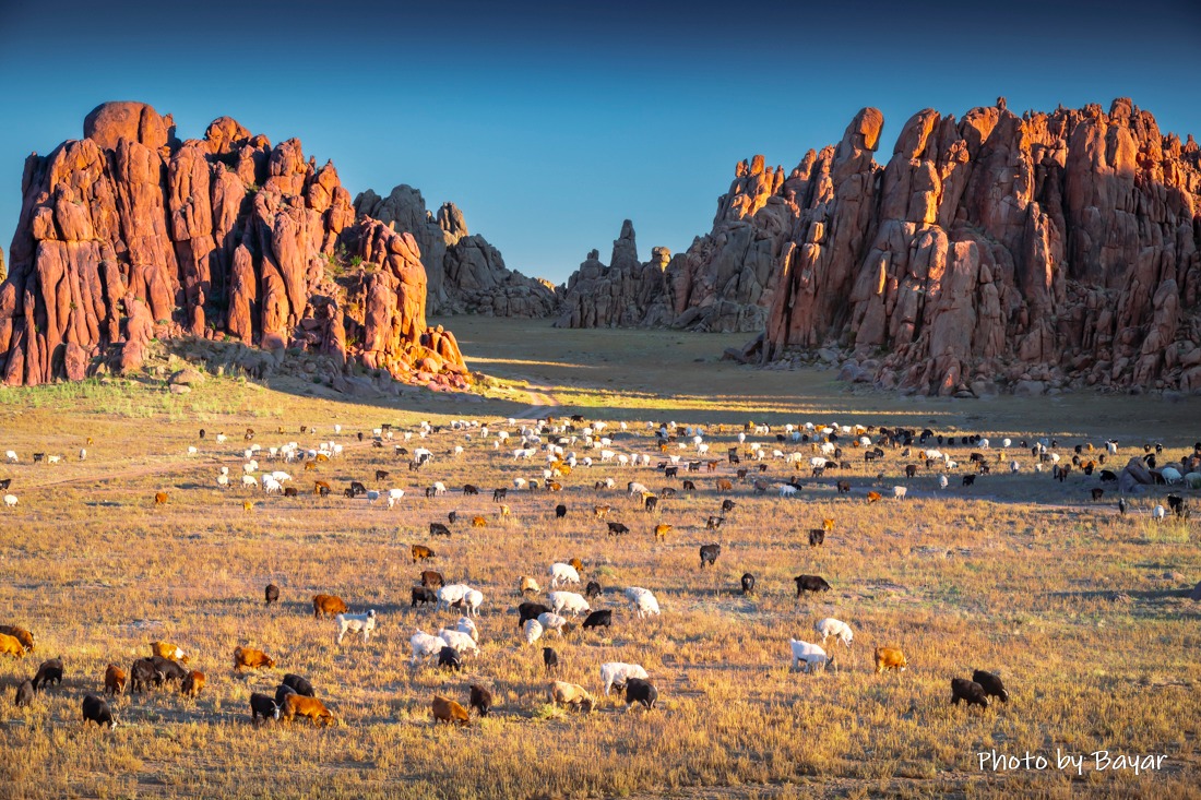 Нийт  нутгаар цаг агаар тогтуун, өдөртөө дулаахан байна