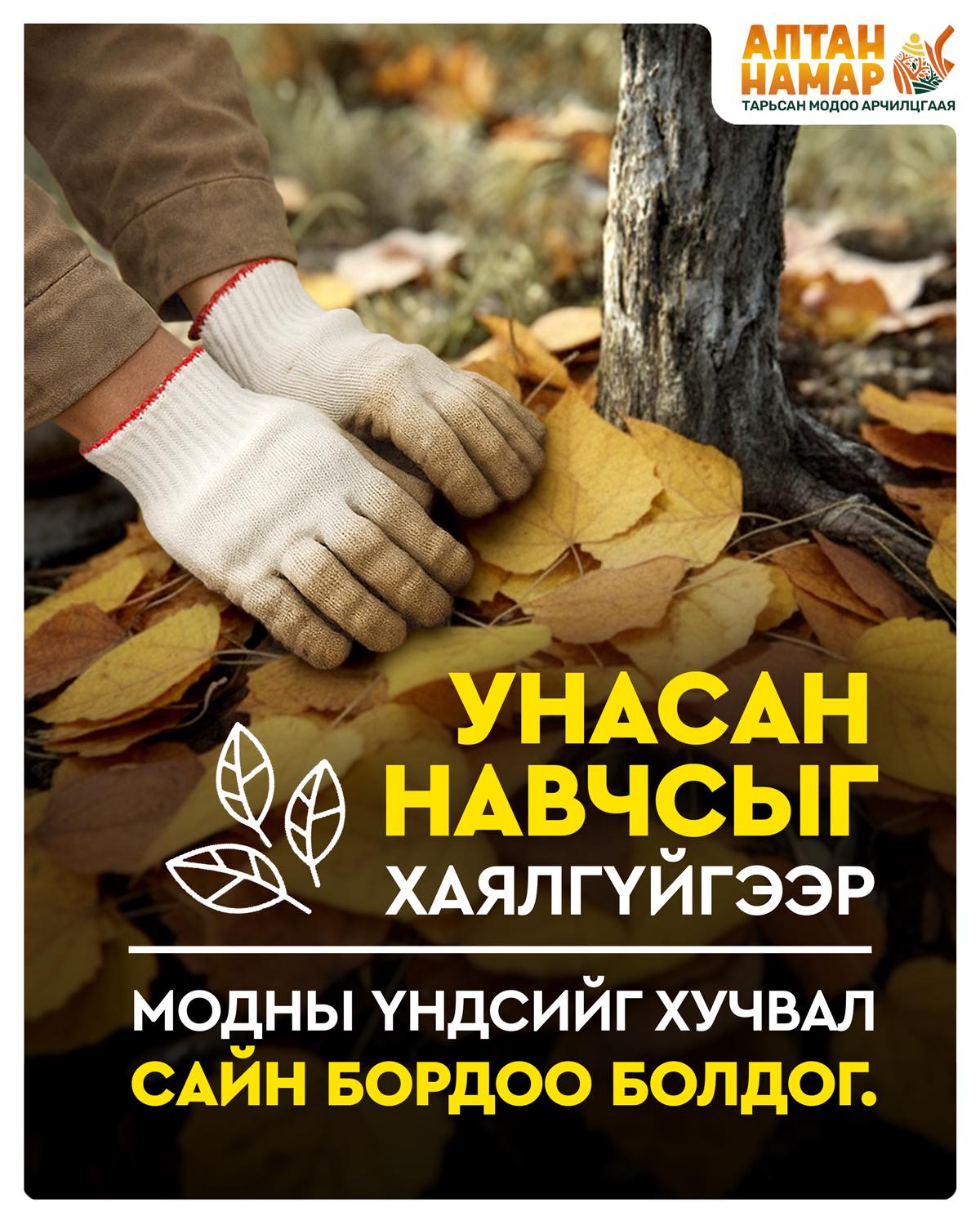 Намрын мод тарилтад оролцож, тарьсан модоо арчлан хамгаалахыг уриалж байна