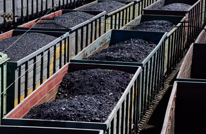 "Бор тээг" ба хар будаг