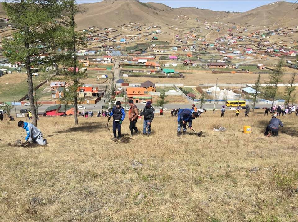 З.Хүрэлбагана: Үндэсний хөдөлгөөн өрнөж эхэлснээс хойш нийт 114.6 сая орчим мод тарьжээ