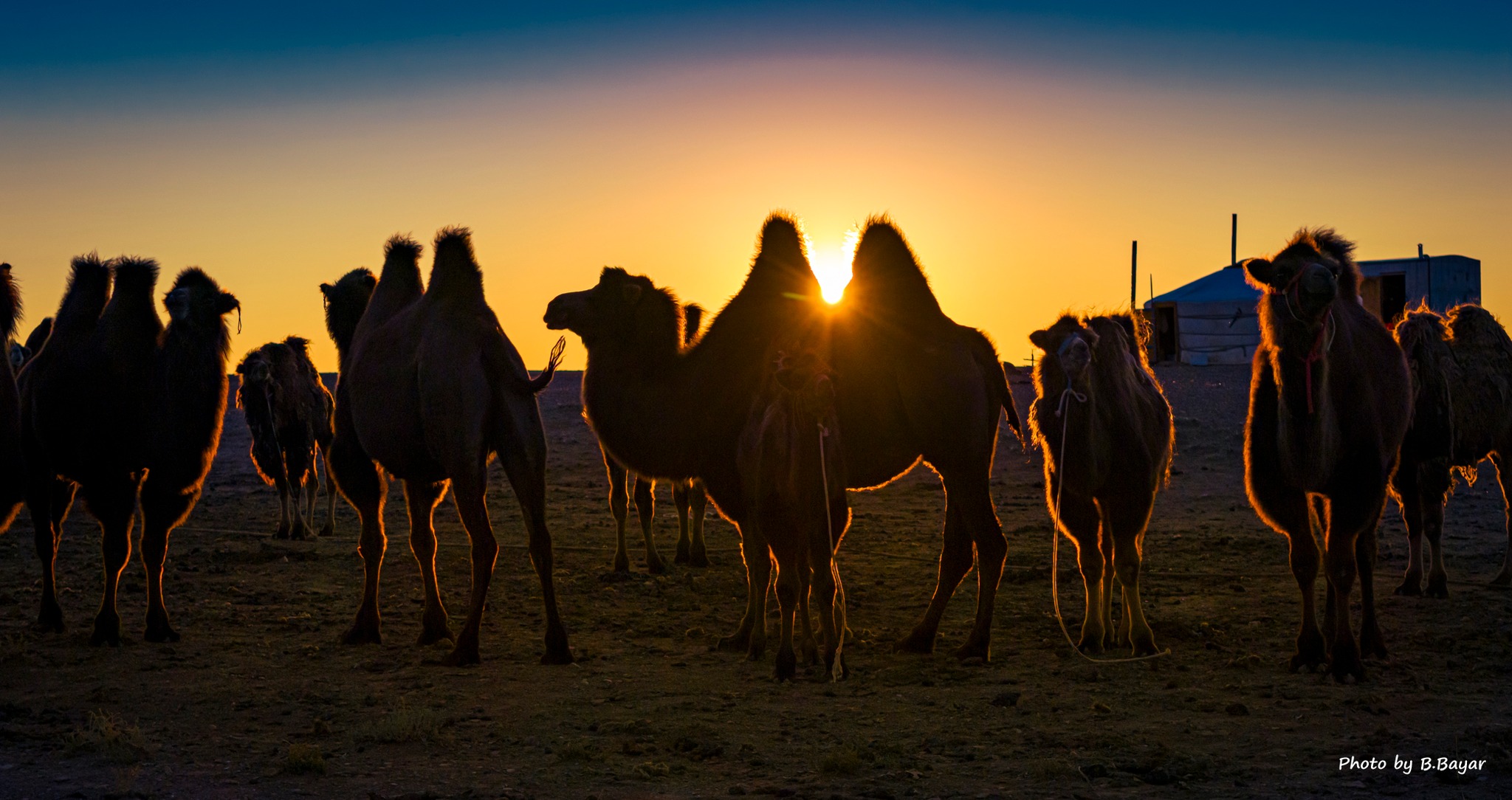 Газар тариалангийн бүс нутгаар цас орно