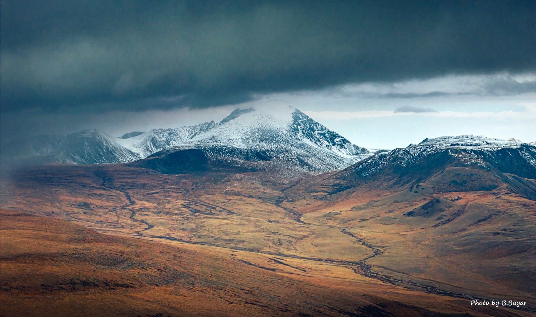 Төмс, хүнсний ногоо хайрагдах эрсдэлтэй