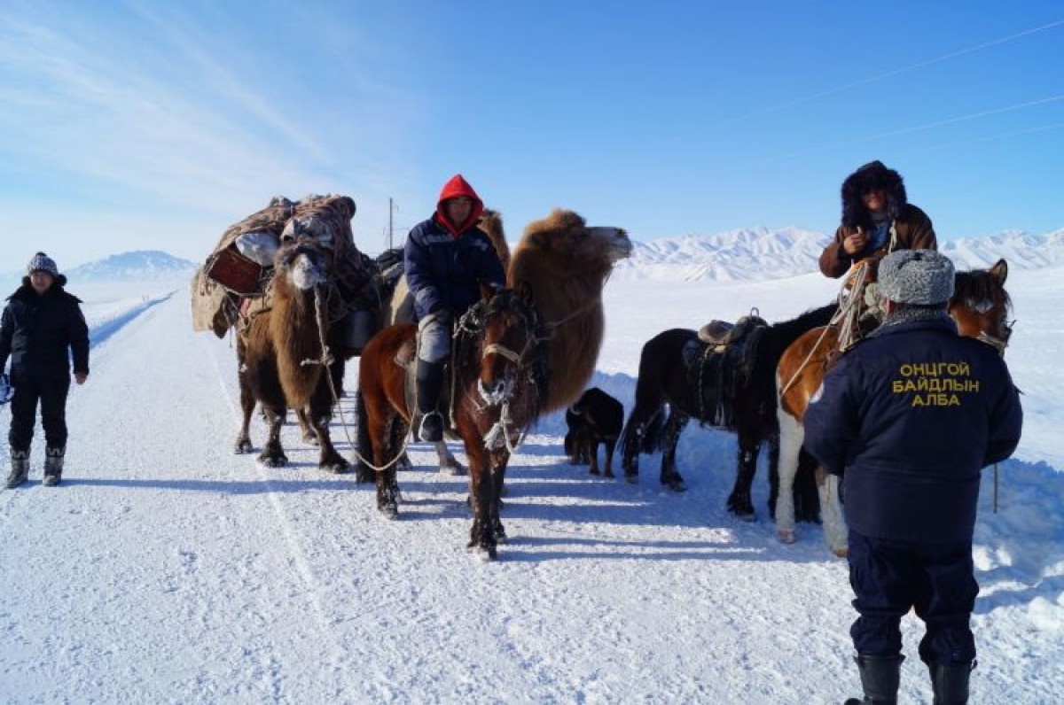 Сураггүй болсон 67 настай иргэнийг эсэн мэнд олжээ