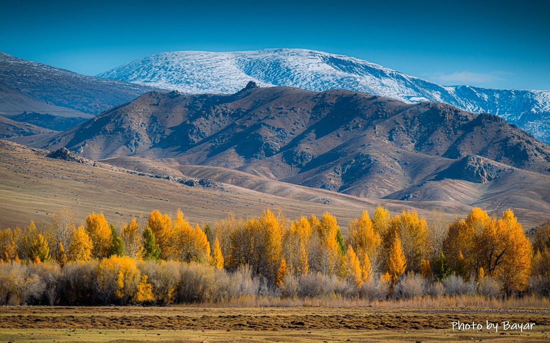 Ирэх өдрүүдэд нийт нутгаар өдөртөө бага зэрэг дулаарна