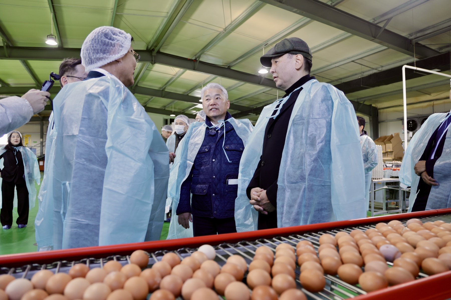 2026 оноос дотоодын өндөгний хэрэгцээг 100 хувь хангах боломж бүрдэнэ