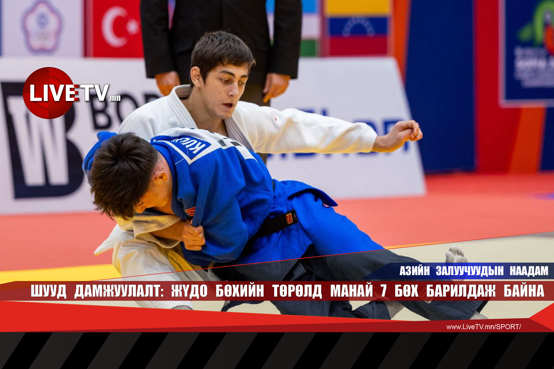 🔴 LIVE: Өнөөдөр манай долоон залуу жүдоч хүч үзнэ