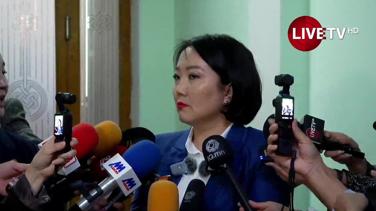 🔴Д.Үүрийнтуяа: Тойргийн гишүүд төсвөө батлуулах гэж хөөцөлдөж гүйх нь зүй ёсны хэрэг