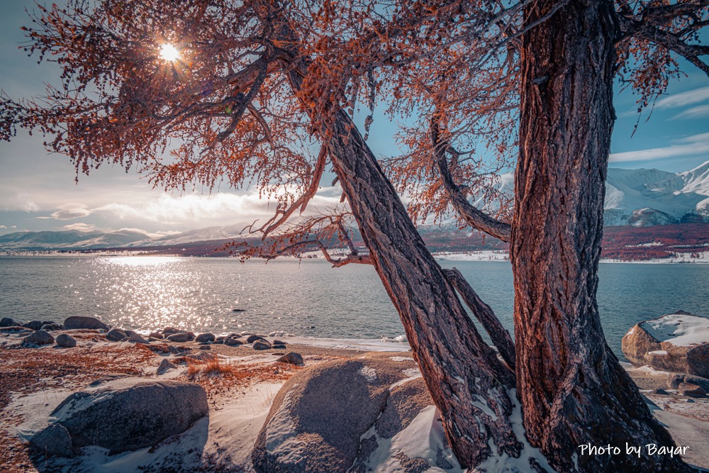 Өнөө, маргааш ихэнх нутгаар цаг агаар тогтуун, нутгийн зүүн хагаст хүйтэн