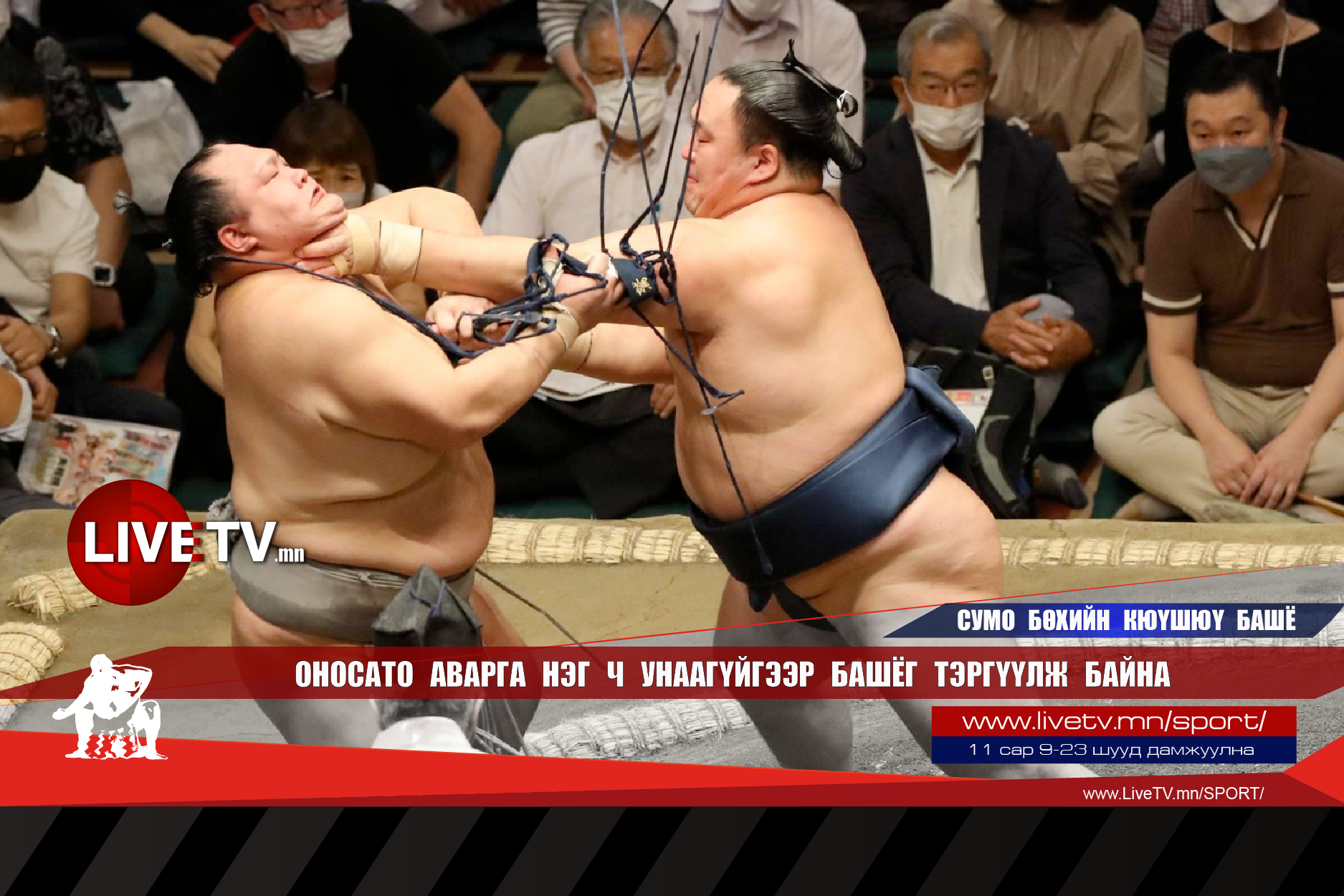 Оносато аварга нэг ч унаагүйгээр башёг тэргүүлж байна