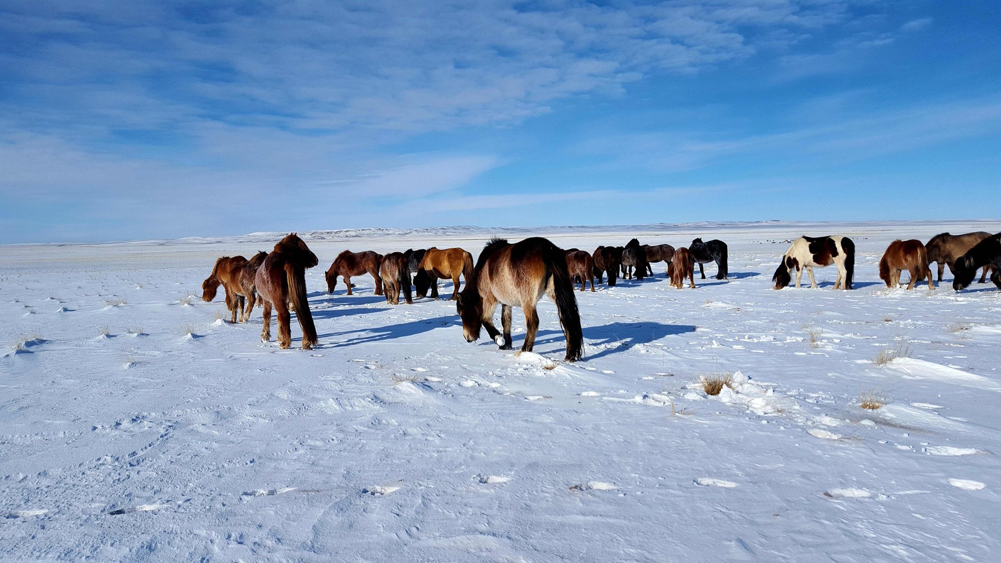 Өвлийн саруудад нутгийн хойд хэсгээр олон жилийн дунджаас хүйтэн байх төлөвтэй байна