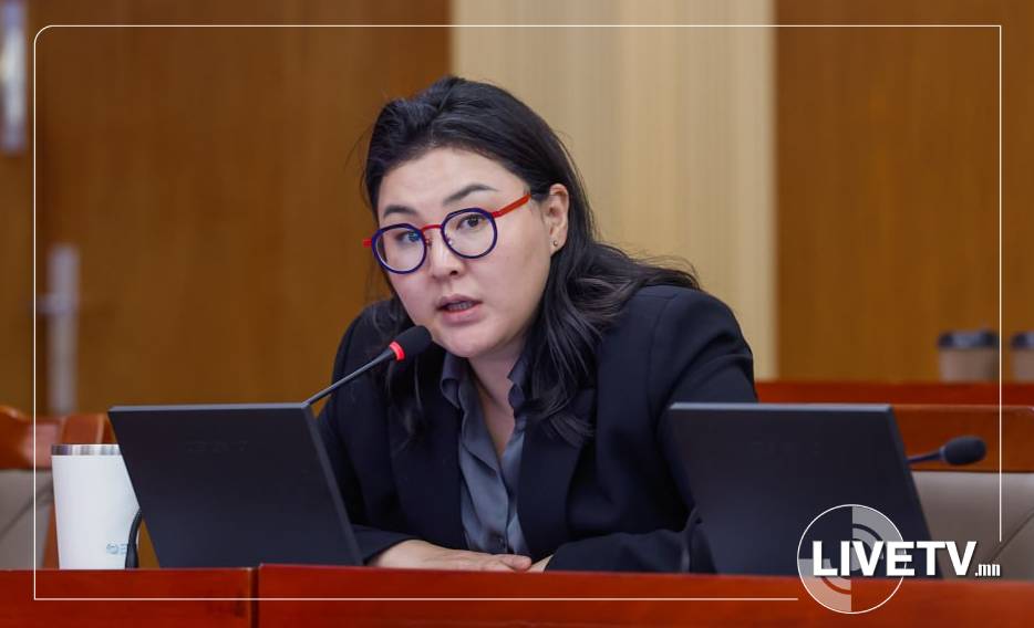 УИХ-ын гишүүн Э.Болормаа яллагдагчаар татах тогтоолтойгоо танилцахгүй байна