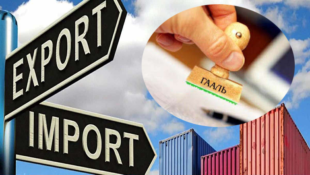 “Цагдаа гаальчид” ГЕГ-ыг юу болгоод байна вэ?