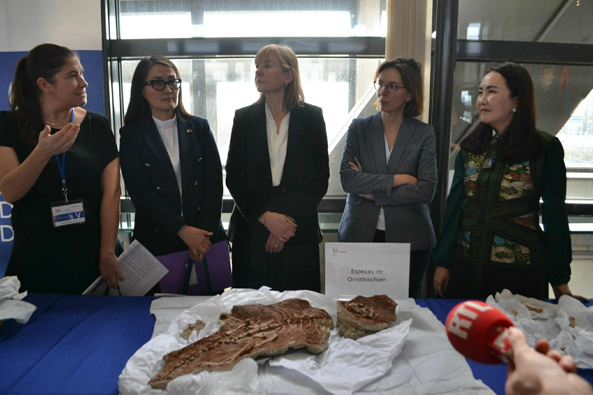 Тарбозавр батаар үлэг гүрвэл тэргүүтэй 29 багц чулуужсан олдворыг Монгол Улс хүлээн авлаа