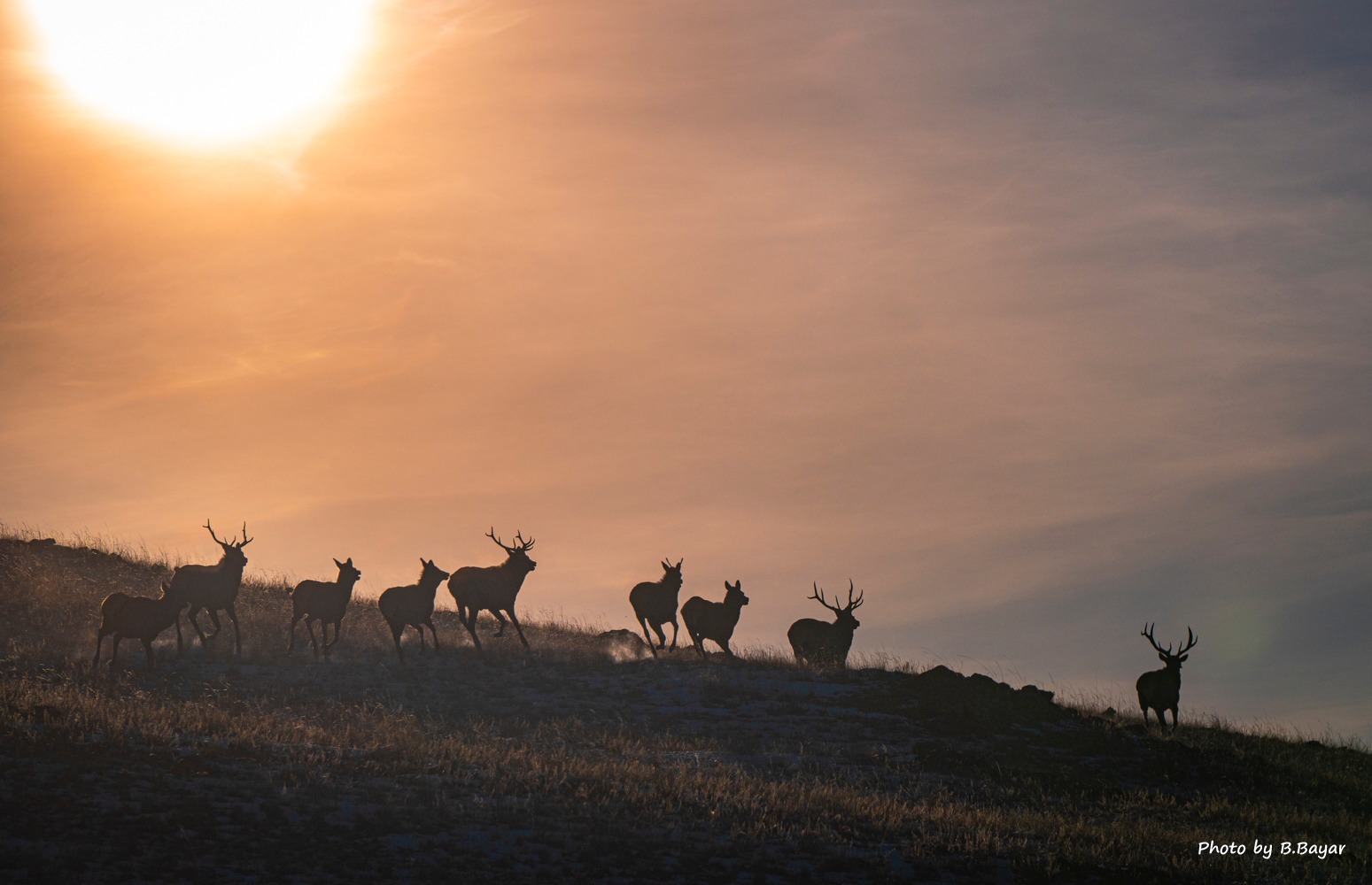 Нутгийн баруун өмнөд хэсгээр хүйтний эрч чангарна