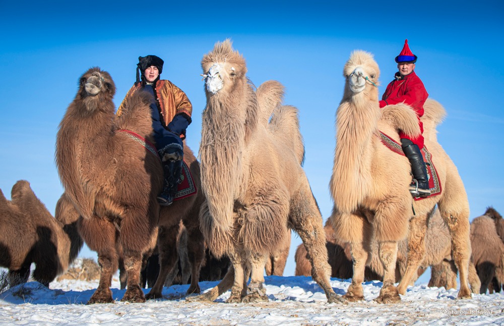 Говийн аймгуудын нутгийн хойд хэсгээр цасан шуургатай