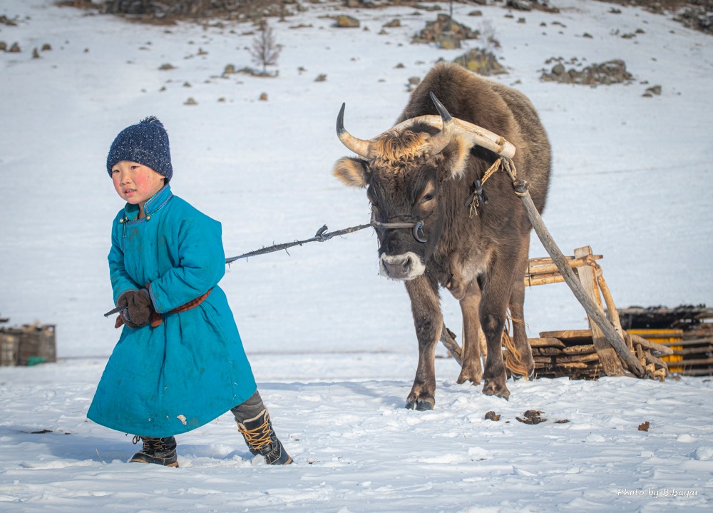 Ирэх тав хоногийн цаг агаарын урьдчилсан мэдээ