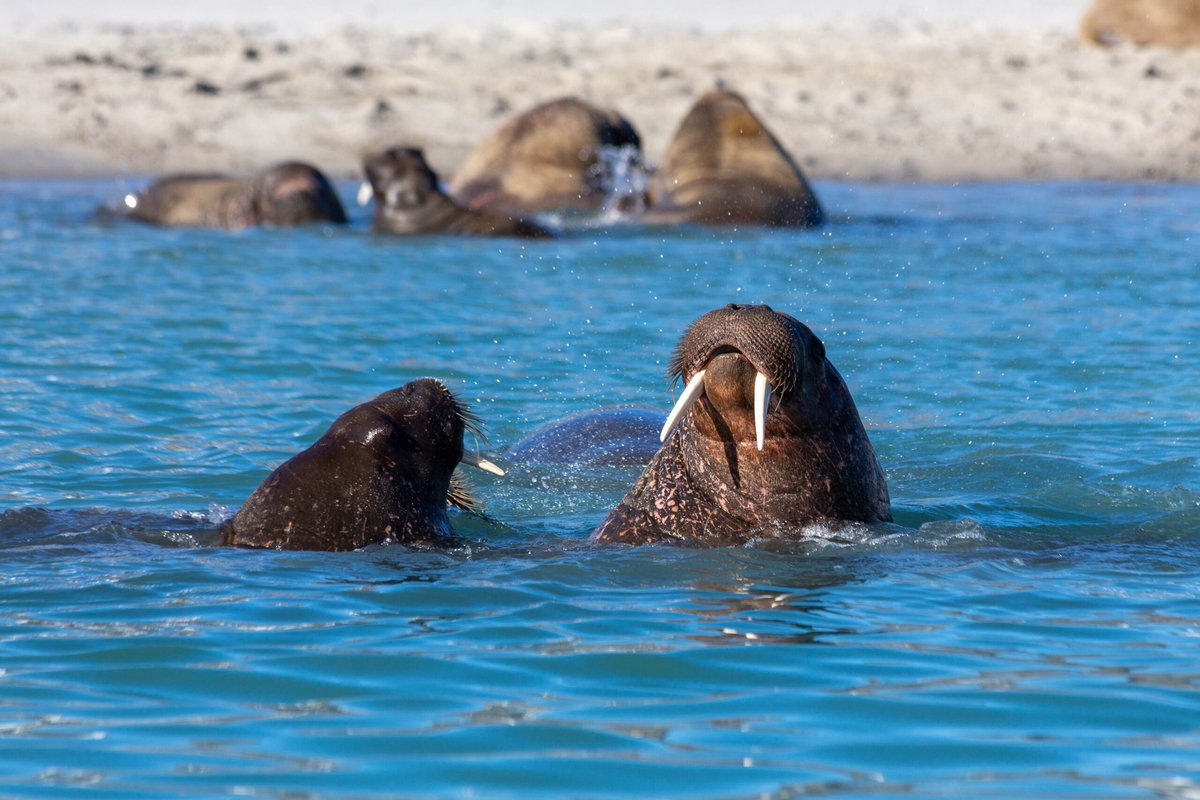 Дэлхийн сэргээгдэх эрчим хүчний хөрөнгө оруулалт 2.2 их наяд долларт хүрэв