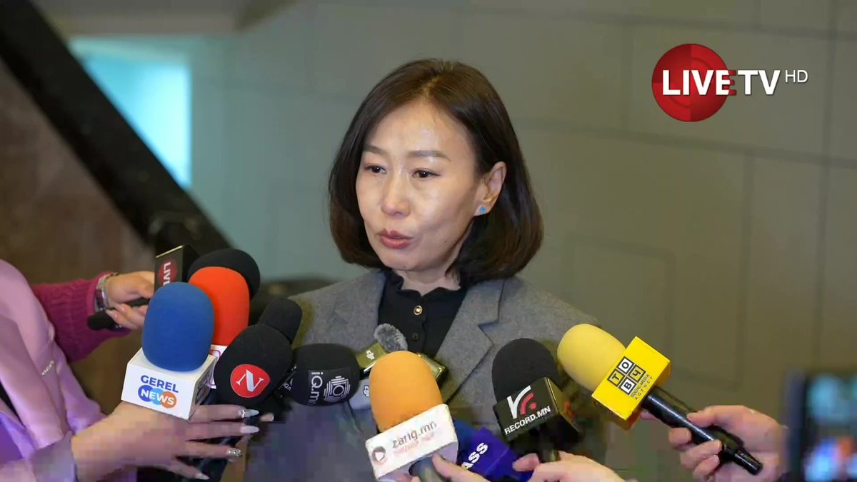 🔴З.Боргилмаа: Эрүүгийн хуулийн 13.14 дэх заалт нь иргэний үгээ хэлэх, үзэл бодлоо илэрхийлэх эрхийг зөрчсөн гэж ҮХЦ үзсэн