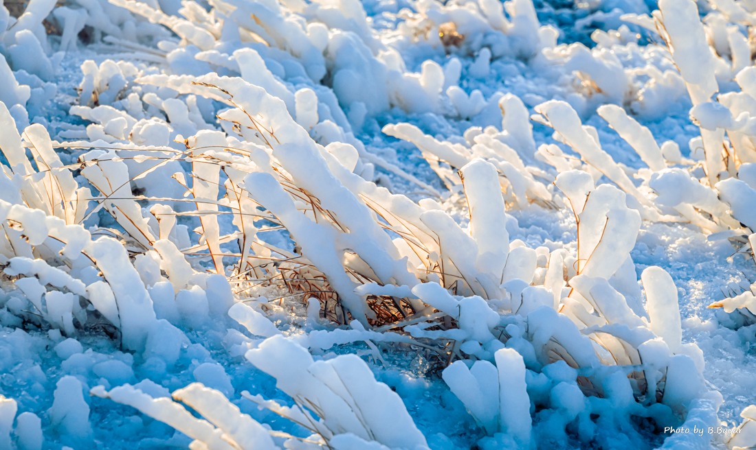 Нийт нутгаар багавтар үүлтэй, цас орохгүй