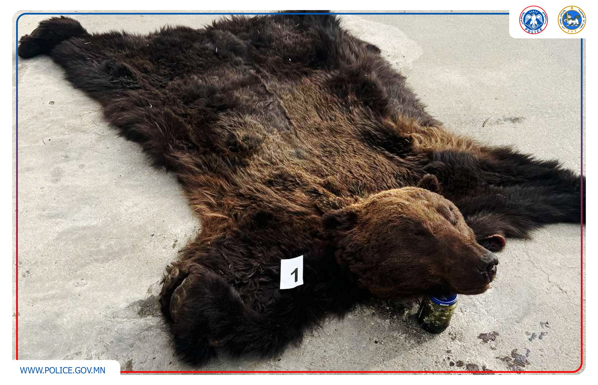 Ховор, нэн ховор амьтан хууль бусаар агнасан долоон гэмт хэргийг илрүүлжээ