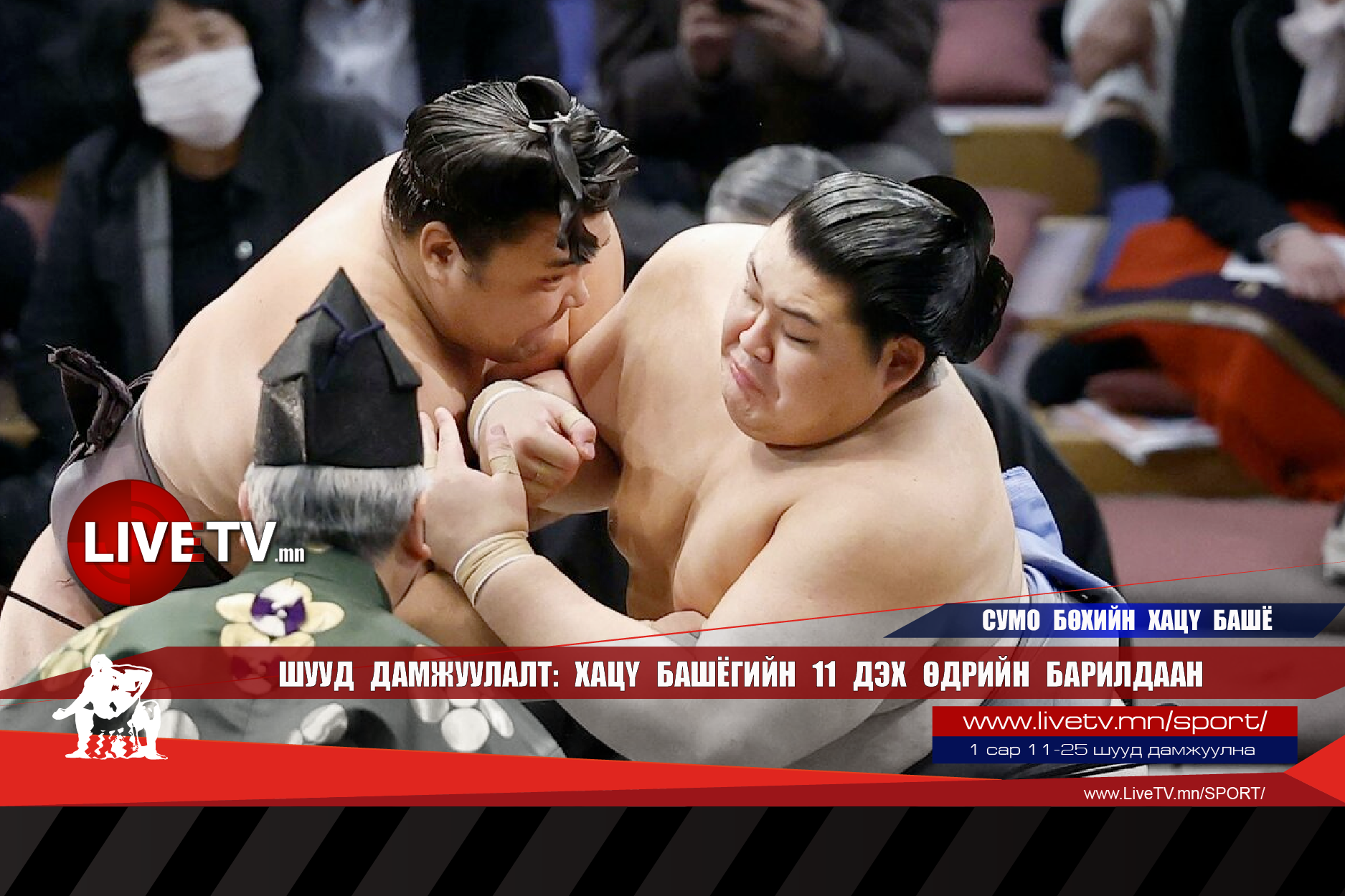 🔴 LIVE: Сумо бөхийн Хацү башё /11 дэх өдрийн барилдаан/
