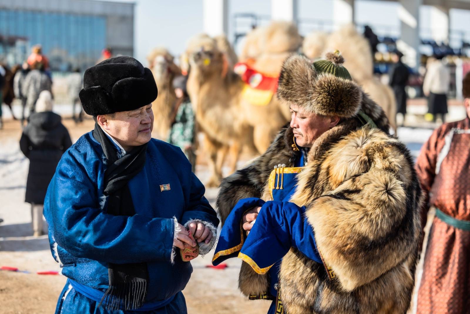 Р.Сэддорж: Хоёр бөхт тэмээ минь дэлхийд гайхагдаж эхэлсэн нь тэмээнд хайртай хүн бүрийн олон жилийн хичээл зүтгэл, хөдөлмөрийн үр дүн билээ