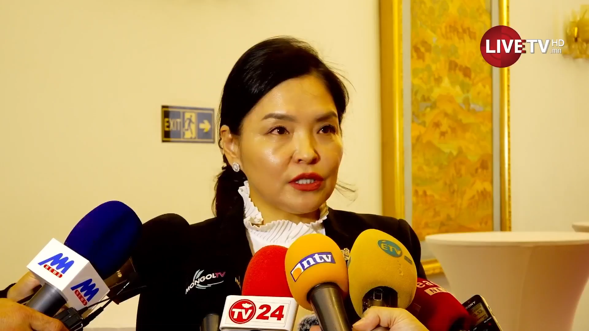 🔴УИХ-ын гишүүн Д.Энхтуяа “Асрах үйлчилгээний тухай хууль”-ийн төсөл санаачилжээ