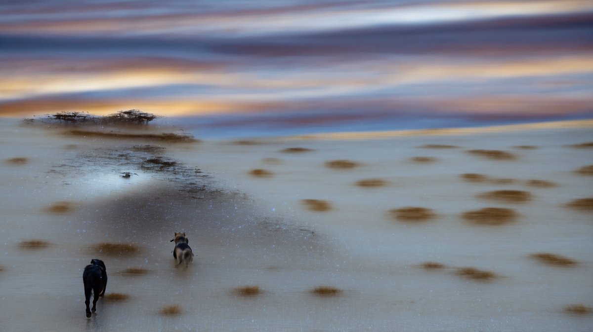 NASA сар руу хүн илгээх түүхэн нислэгтээ бэлдэж байна