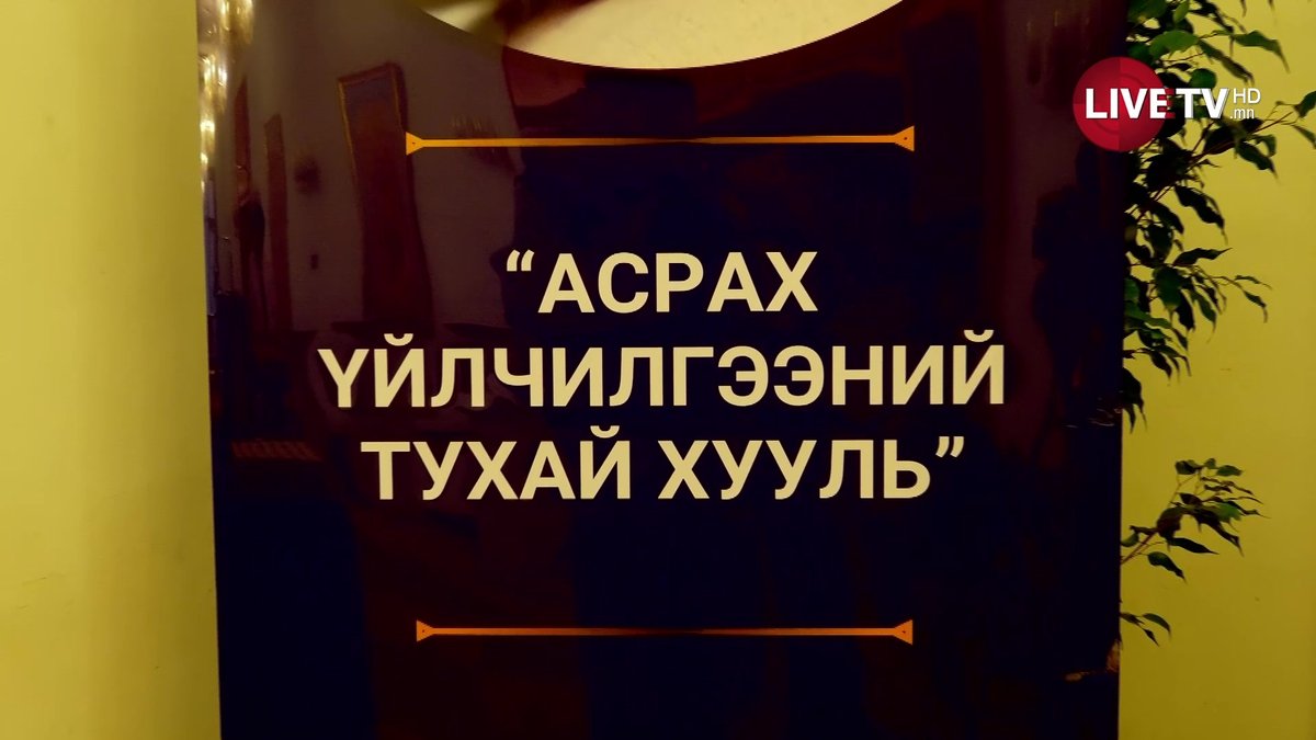 🔴УИХ-ын гишүүн Д.Энхтуяа “Асрах үйлчилгээний тухай хууль”-ийн төсөл санаачилжээ