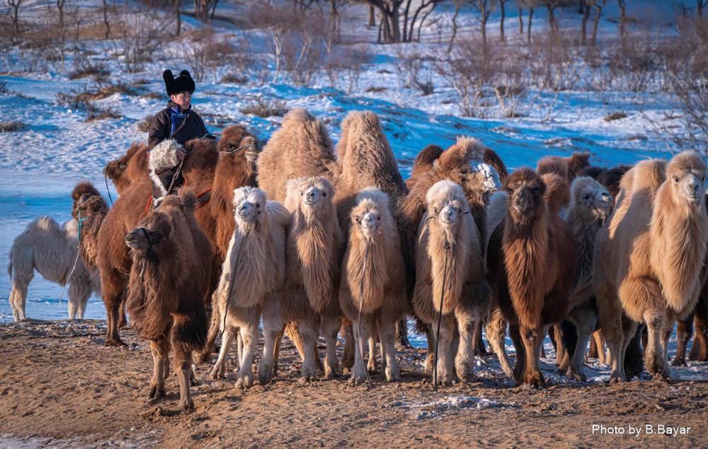 Дархадын хотгор болон Орхон-Сэлэнгийн бэлчрээр ялимгүй цастай